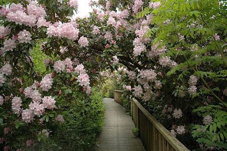 7 مورد از زیباترین باغ گل جهان