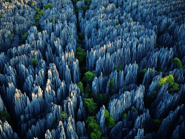 جنگل سنگی پارک ملی بماهارا در ماداگاسکار