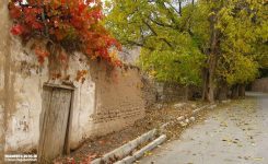 جاهای دیدنی شهمیرزاد | تاریخی ، گردشگری و کشاورزی