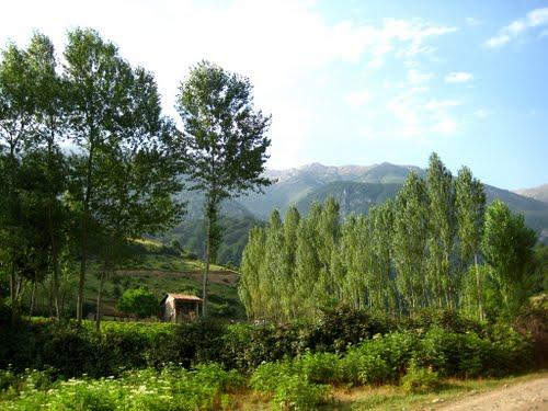 روستای زیارت گرگان ، زیارت در گلستان سراسر از زیبایی