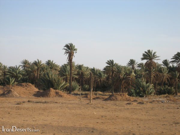 روستای مصر ، دارای آب و هوای گرم و خشک