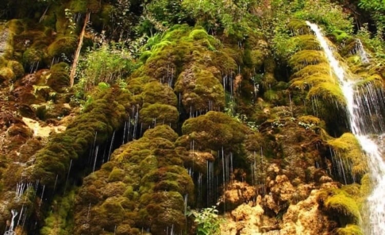لاویج | آب گرم ، آبشار حرام او و جنگل ها زیبا هیرکانی