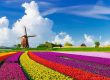 هلند به چه معروف است؟
