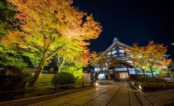 گشت و گذار 24 ساعته در کیوتو ژاپن