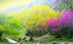 دره ارغوان مشهد ، جاهای دیدنی طرقبه مشهد