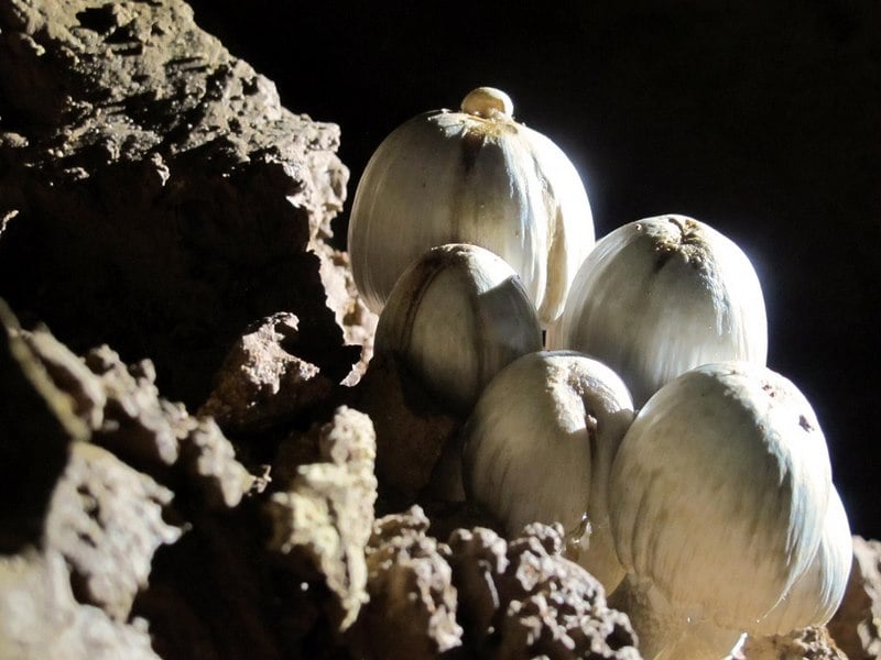 غار سوباشی همدان