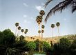 باغ چشمه بلقیس از جاذبه های توریستی چرام