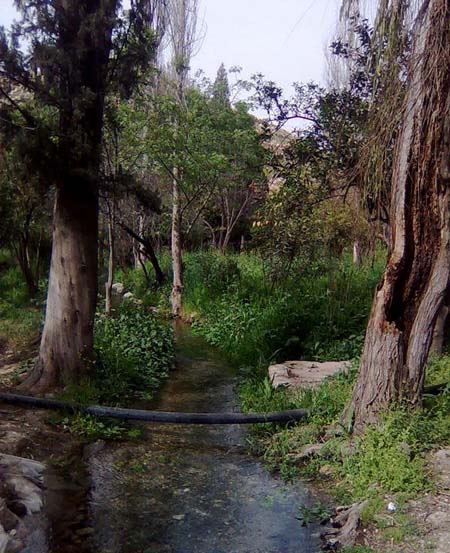 باغ چشمه بلقیس از جاذبه های توریستی چرام