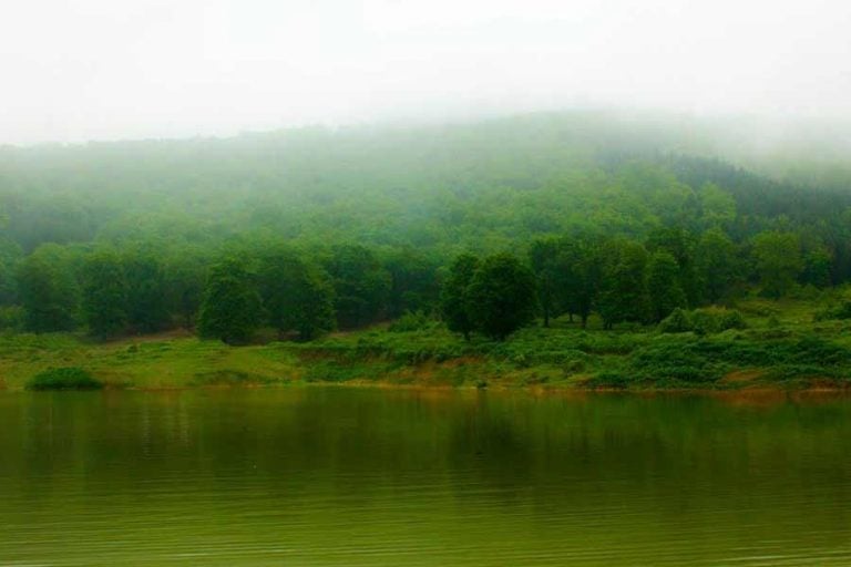 جاذبه گردشگری دریاچه توشن ، آرامش کنار جنگل و دریاچه
