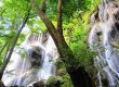 آبشار زردلیمه ، آبشاری شگفت انگیز در انبوه درختان بادام و بلوط