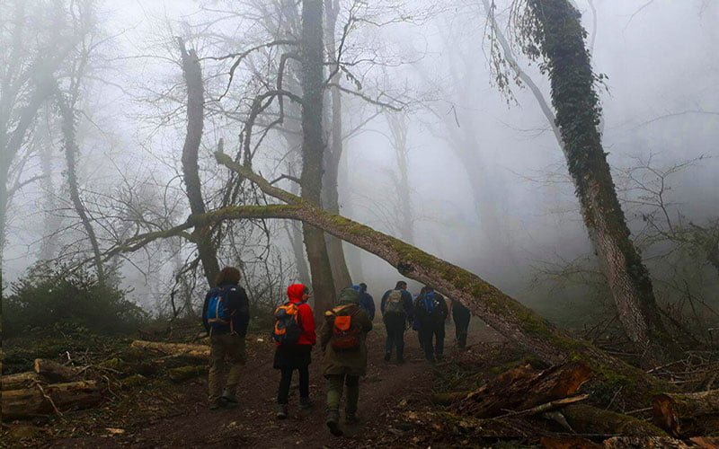 تالاب ارواح ، تالابی زیبا و خوفناک در میان جنگل های مه آلود