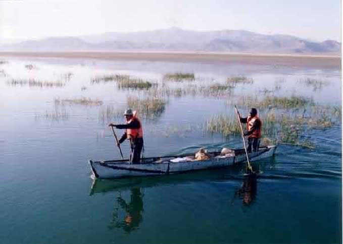 تالاب کافتر یکی از دریاچه های آب شیرین استان فارس