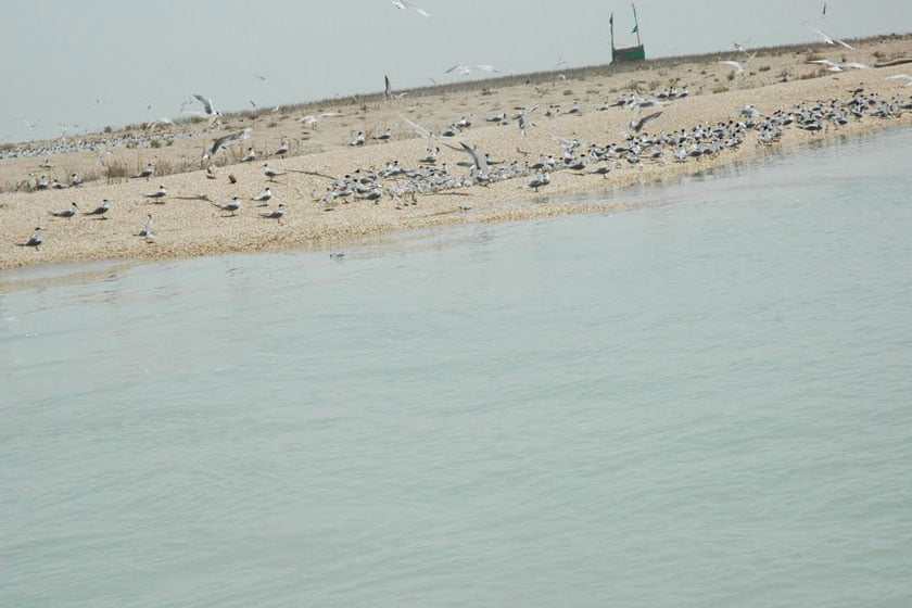 جزیره قبر ناخدا از جزایر غیر مسکونی ایرانی خلیج فارس