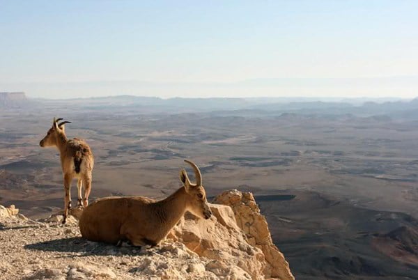 منطقه‌ حفاظت شده هفتاد قله از جاذبه های گردشگری اراک