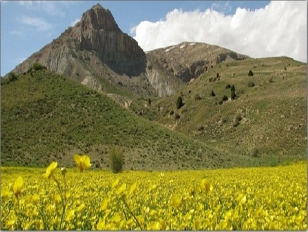 پارک ملی ساریگل با زیستگاه‌های متنوع کوهستانی