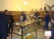 موزه حشرات هایک میرزایانس از جاهای دیدنی تهران