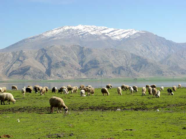 کبیر کوه مهمترین و بزرگترین رشته‌کوه استان ایلام