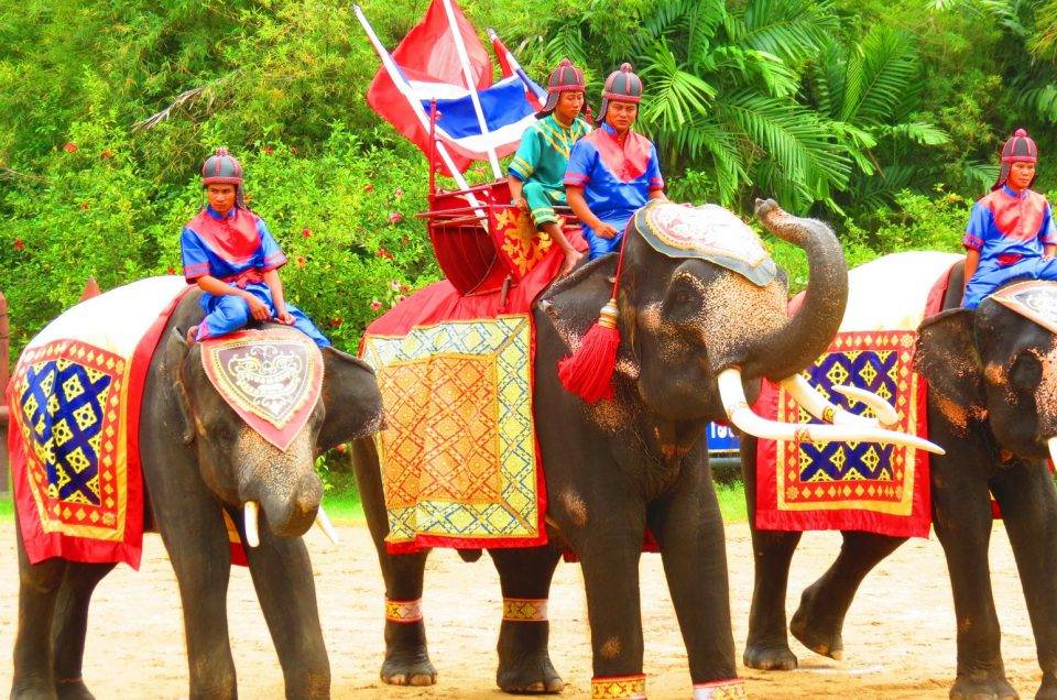 دهکده فیل های پاتایا ، یکی از جذابترین جاذبه های شهر پاتایا