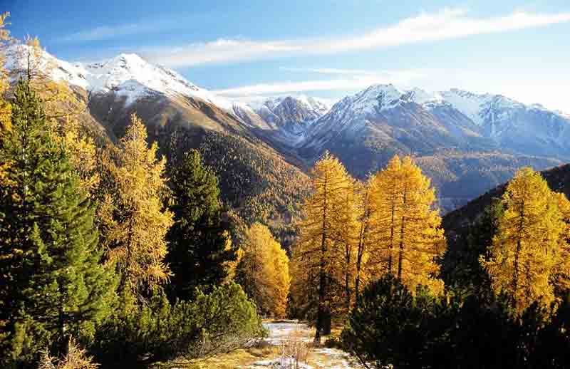 پارک ملی سوئیس ، اولین و تنهاترین پارک ملی سوئیس 