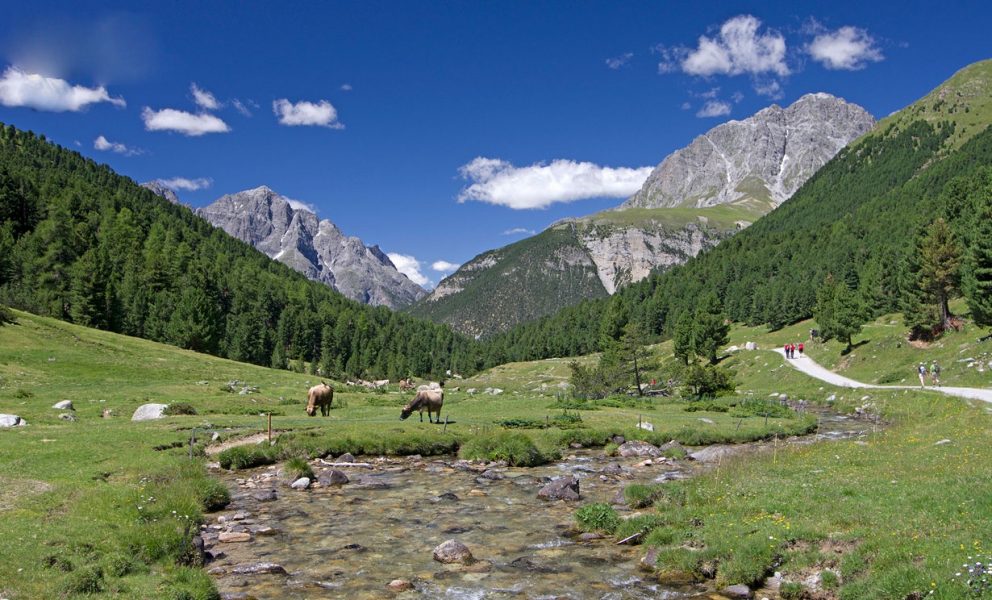 پارک ملی سوئیس ، اولین و تنهاترین پارک ملی سوئیس 