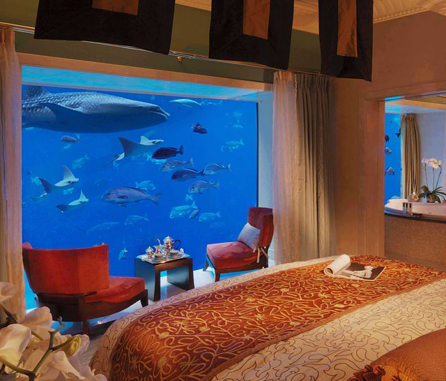 بهترین هتل های زیر آب ، تماشای دنیای پر رمز و راز زیر آب