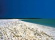 ساحل صدف استرالیا ، یکی از خاص ترین سواحل دنیا