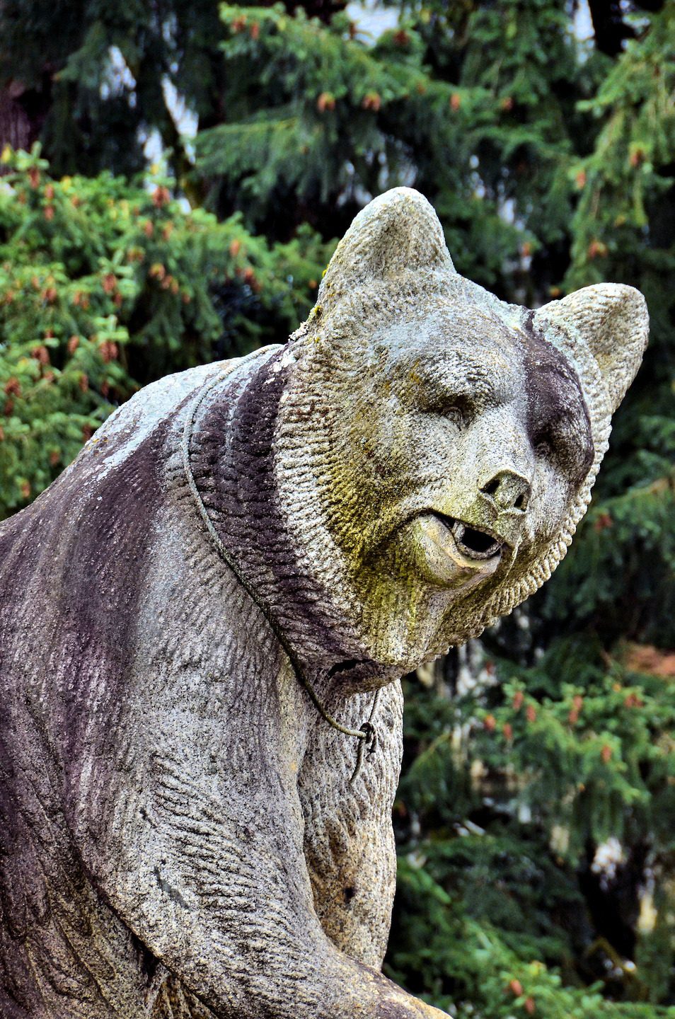 خرس ها سمبل شهر برن سوئیس