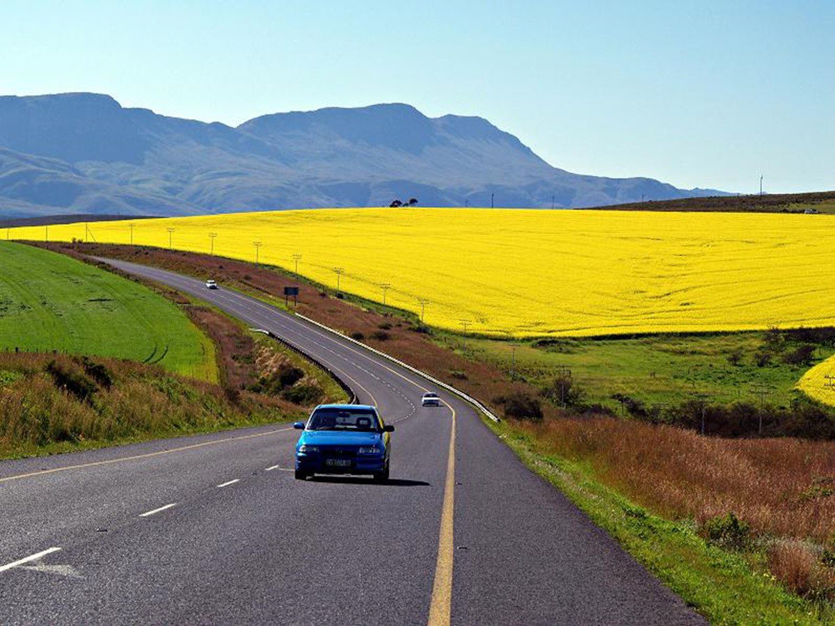راهنمای حمل و نقل در کشور آفریقای جنوبی
