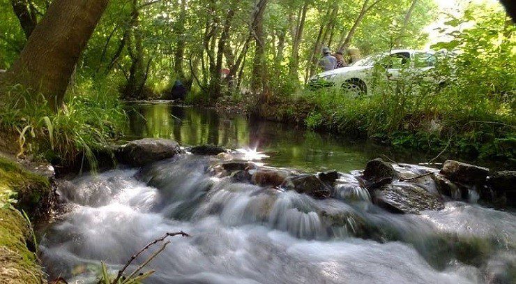 معرفی پارک ملی تندوره درگز از غنی ترین پارک های حفاظت شده ایران