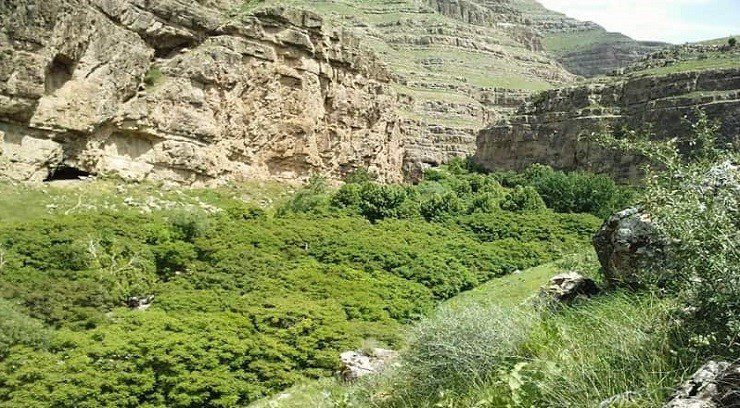 معرفی پارک ملی تندوره درگز از غنی ترین پارک های حفاظت شده ایران