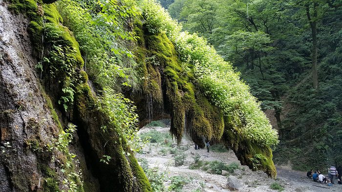 آبشار باران کوه گلستان از زیبا ترین آبشار های خزه ای ایران