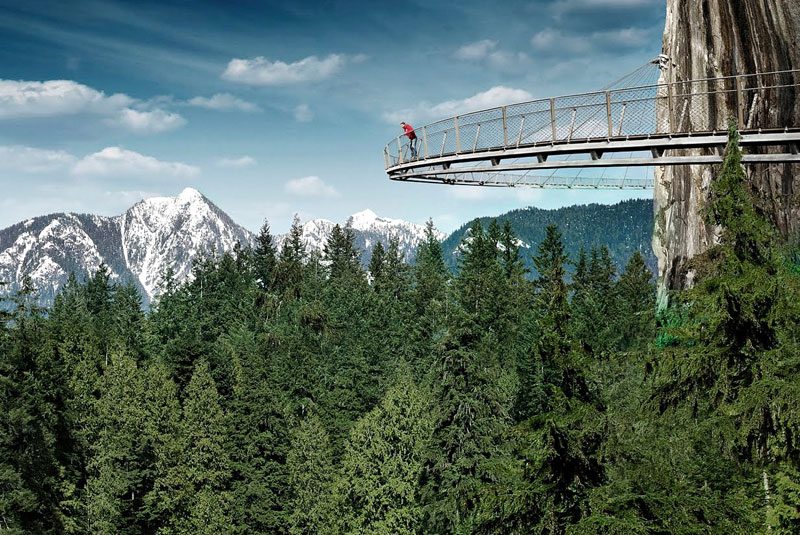 جاذبه زیبای پل معلق کاپیلانو کانادا تحقق رویای پرواز در میان انبوه درختان