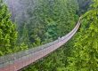 جاذبه زیبای پل معلق کاپیلانو کانادا تحقق رویای پرواز در میان انبوه درختان