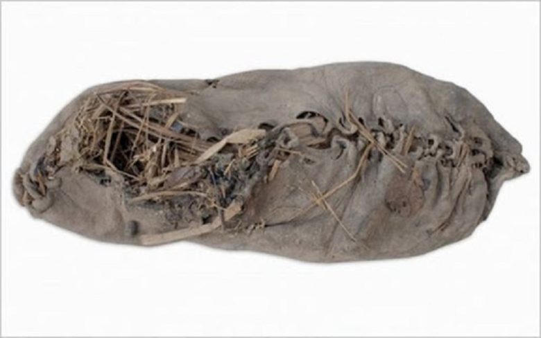 قدیمی ترین کفش چرمی جهان در کجا کشف شد ؟