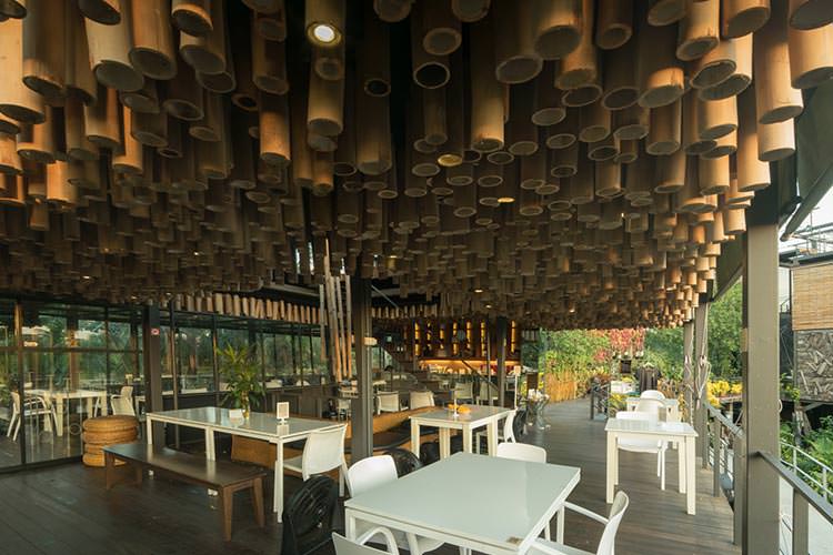 با هتل های درختی بانکوک بیشتر آشنا شوید