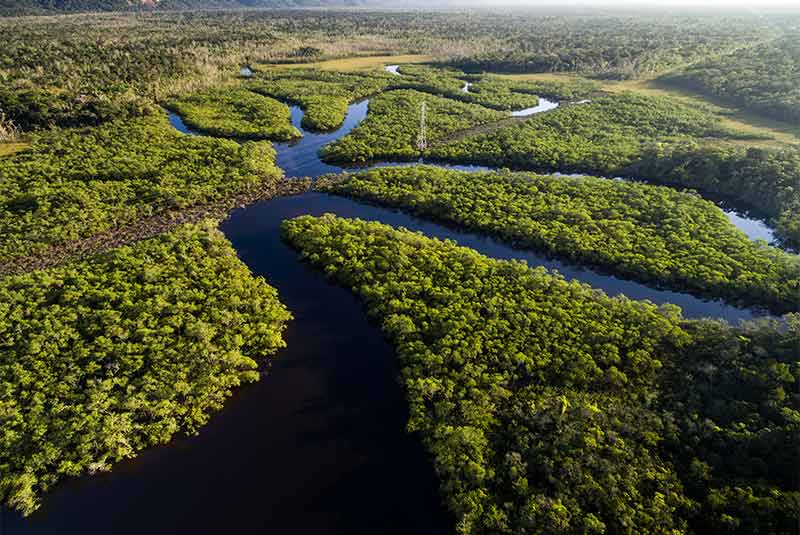 رودخانه آمازون را به طور کامل بشناسید !