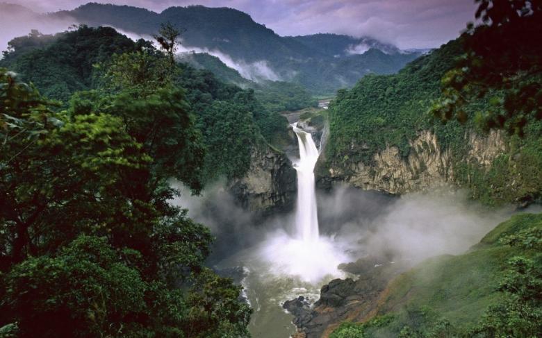 جنگل های بارانی آمازون