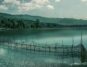 دریاچه الندان ،