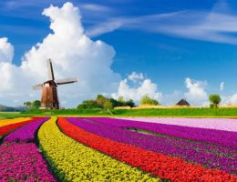 هلند به چه معروف است؟