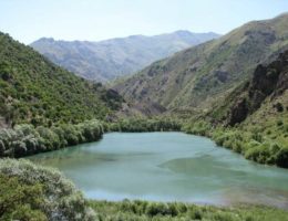 جاذبه گردشگری دریاچه مورزرد یاسوج