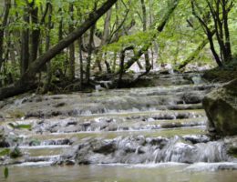 جاذبه گردشگری آبشار آق سو