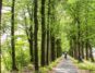 پارک ملی هوخه ویلوه ، با چشم اندازهای طبیعی زیبا در هلند