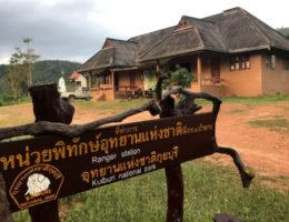 معرفی پارک ملی کوری بوری در تایلند