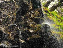 آبشار سیاسرت برای گردش یک روزه در رامسر