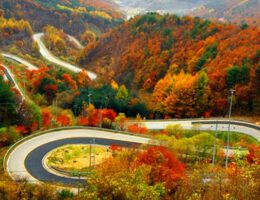 جذابیت های جاده چالوس/ چهارمین جاده زیبای جهان