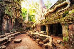 asia-cambodia-angkor-wat-temple-nature-012453